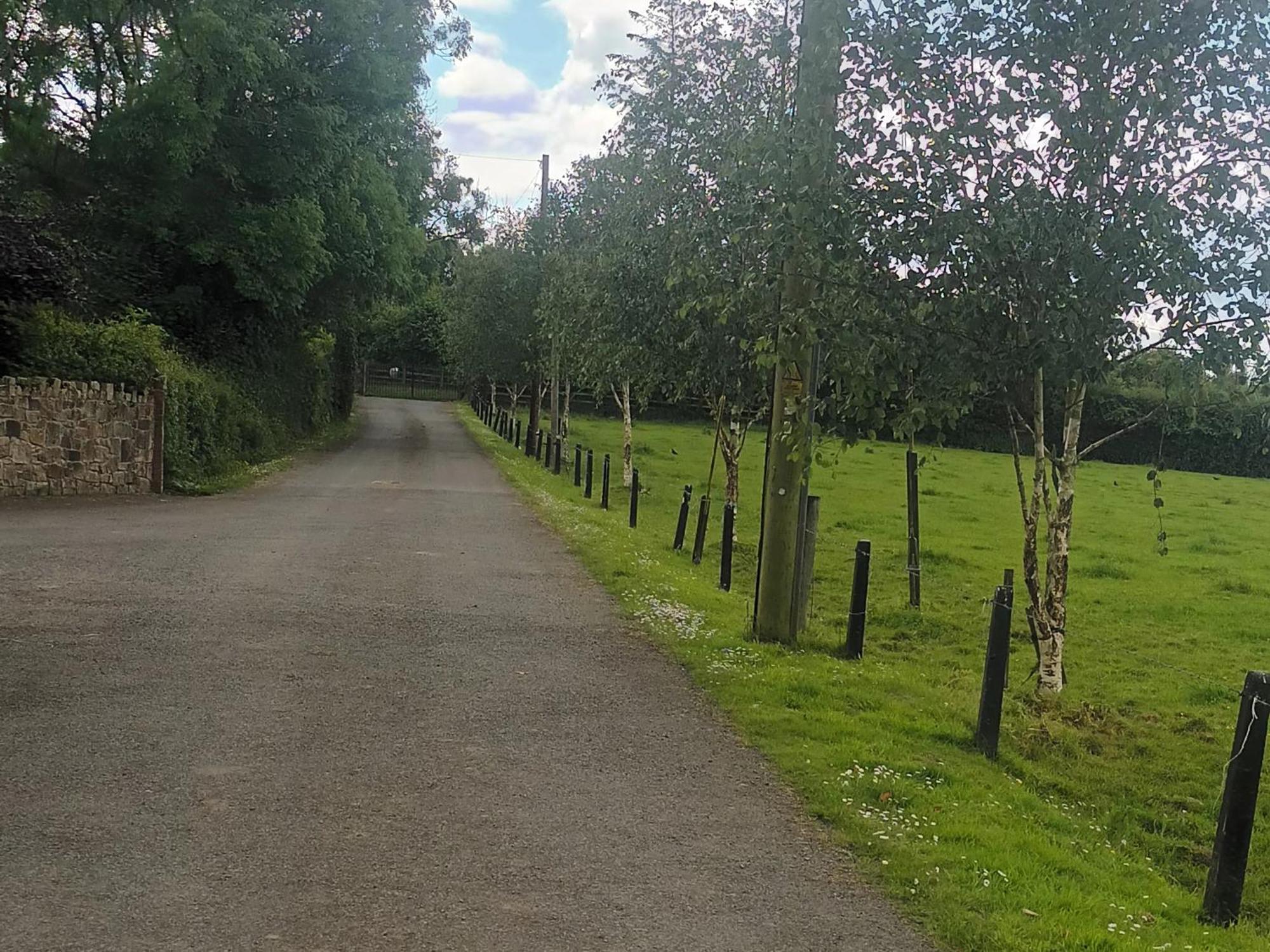 Birdhill Farmhouse Tipperary Esterno foto